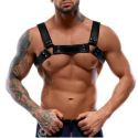 La Sélection de Harnais BDSM pour Homme par Malins-Plaisirs