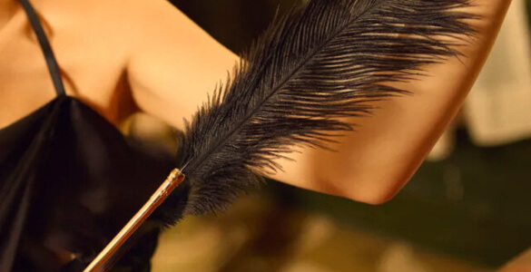 La collection de plumeaux BDSM Malins-Plaisirs