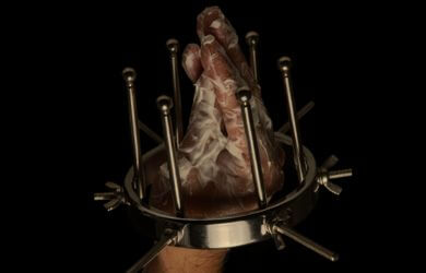 Laissez votre Domina ou votre Maître explorer vos limites anales !